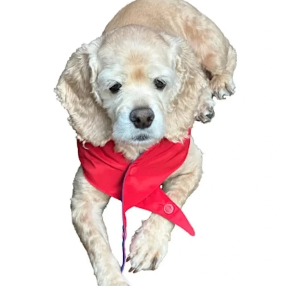 NWT Reebok Red RUN Dog Snap on Bandana S/M